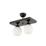 Lambadar Modern Beyaz Camlı Model Ikili Dikdörtgen Plafonyer Avize Salon Mutfak Yatak Odası Hol Siyah2Dik Tek Ebat 30 X 30 3551-2Blkdik-110A1