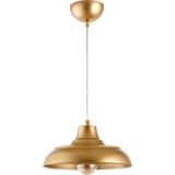 Lambadar Retro Rustik Model Modern Metal Tekli Gold Sarkıt Avize Cafe - 1
