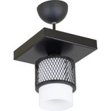 Lambadar Tekli Beyaz Cam Kafes Model Modern Plafonyer Avize - Siyah - 1