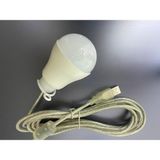 Lambası 3 mt LED Ampul USB Kamp Lambası Mini Kamp Feneri 5V Taşınabilir Asma Çadır Kablo Ampulleri Kamp Acil Durum Işığı Yürüyüş Acil Durum Işığı Balıkçılık Aydınlatma (5W)