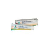 Lamiderm Yanık Kremi 60ml 8699177825206