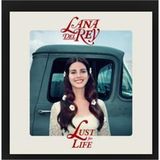 Lana Delrey /Universal Music Lana Del Rey Lust For Life 33 RPM Plak Pop Müzik Türünde 2LP Lust For Life (2lp)(Plak)