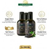 Lanorre Çörekotu Yağı (Çörek otu) - %100 Soğuk Sıkım - Yerli Tohum - Analizli - 3X250ML (3 Adet) %100 Saf - Doğal -Yüksek Timokinonlu - Katkısız - 3 Adet - 250 ML