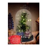 Lapidaria Çam Ağaçlı Ve Noel Baba Temalı Yılbaşı Ağaçlı Süslü Peri Led Işıklı Fanus