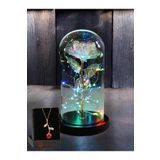Lapidaria Fanus Içerisinde Dekoratif Rgb Peri Led Işıklı Solmayan Sonsuzluk Gülü Ve Gül Kolye Sevgiliye