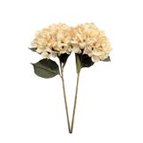 Lara Decor Krem Soft 2'li Ortanca Çiçek