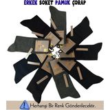 Larimar Mısırlı 60900 Erkek Organik Pamuk Soket Çorap - 41 - 45 - Asorti