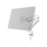 Larskas 17-34” Monitör Standı, Maksimum 10 kg Ağırlık