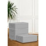 Larskas Büyük Boy Hurç Seti, 6 Adet, 64X45X22 Cm, Baza Altı Düzenleyici Organizer