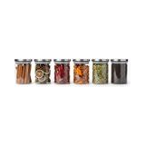 Larskas Deconox 6’lı Paslanmaz Metal Vakum Kapaklı Cam Baharatlık Seti, Hava Almaz Silikon Contalı Lüks Erzak Saklama Kabı, Modern Mutfak Düzenleyici Kavanoz 200ML-250ML-325ML Seçenekli (250ML - 6,5CM-10CM)