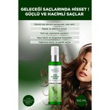 Last Touch Doğal Biberiye Suyu 100 ml Vegan Saç Bakımı Tüm Saç Tipleri İçin Dökülmeye Karşı