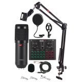 Lastvoice BM800L Live Set Efektli Ses Kartı Mikrofon Stand Kayıt Canlı Yayın Seti (PC ve Telefon)