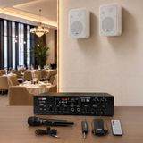 Lastvoice Soft Plus Paket-1 Hoparlör ve Anfi Mağaza Ses Sistemi - Siyah - Paket-1(Ana Varyant)