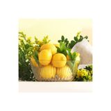 Lav Alinda Cam Salata Kasesi Tekli Ekstra Büyük 2050 ml (Sunum Kasesi , Hazırlık Kasesi)