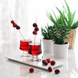 Lav ARY359F Aria 6'li Meşrubat Bardağı - Çok Renkli