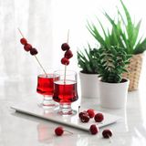 Lav ARY359F Aria 6'lı Meşrubat Bardağı - Standart