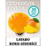Lavabo Koku Giderici Mango Kokulu Süzgeç Evye Koku Önleyici Çok Amaçlı Banyo Duş Çöp Kovası Uyumlu