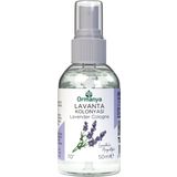 LAVANTA CEP KOLONYASI 50 ML