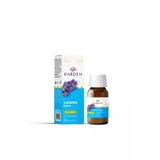 Lavanta Esansı 20Ml