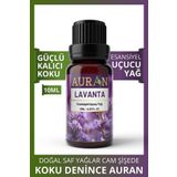 Lavanta Esansiyel Uçucu Koku Yağı Buhurdanlık Yağı Difüzör Esansı Hobi Esans Ortam Oda Kokusu 10ml