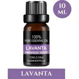 Lavanta Esansiyel Uçucu Koku Yağı Difüzör Esansı Buhurdanlık Yağı ve Aromaterapi Yağı 10 ml - Şeffaf