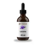 Lavanta Mum Esansı 20 ml.