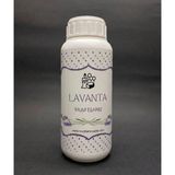 Lavanta Mum Esansı 50 ml.