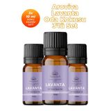 Lavanta Oda Kokusu 3'Lü Set- Doğal Esansiyel Uçucu Yağ, Difüzör Esansı, Buhurdanlık Yağı