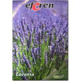 Lavanta Tohumu - Çok Yıllık Aromatik Parfüm Ve Kozmetik Endüstrisi İçin İdeal