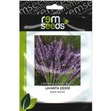 Lavanta Tohumu Lavandula Offıcınalıs Takribi 40 Tohum