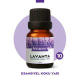 Lavanta Uçucu Koku Yağı Buhurdanlık Yağı Difüzör Esansı Küre 10Ml