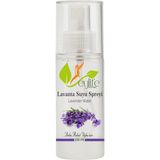 Lavanta Uyku ve Yastık Spreyi 100 ml