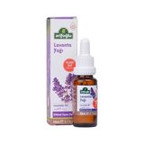 Lavanta Yağı 20ML %100 Saf Lavender Oil Pure Lavandula Angustifolia Herb Oil - 0 - 3 Yaş - 0 - Siyah