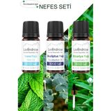 Lavendrose Aromaterapi Uçucu Yağ Nefes Seti %100 Saf Okaliptus Yağı,saf Biberiye Yağı,saf Nane Yağı