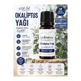 Lavendrose Okaliptus Yağı %100 Saf- Bitkisel Aromaterapi Okaliptus Uçucu Yağı 10ml -eucalyptus Oil