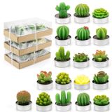 Lawei 18 Paket Kaktüs Tealight Mumlar - El Yapımı Narin Sukulent Mini Bitkiler Mumları - Ev Dekoru Mumlar Festival Düğün Aksesuarları ve Ev Sıcak Tutan Parti için Mükemmel