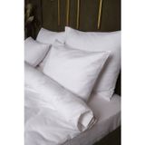 Lawon Atina Serisi 4 Adet Pamuk Saten Yastık Kılıfı 50*70Cm