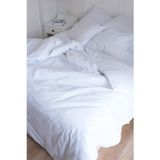Lawon San Marino Serisi %100 Pamuk Saten King Size Otel Çarşafı 280*280cm