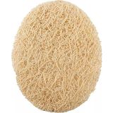 Layes Yüz Peeling Diski 3'lü Loofah Yüz Kabak Lifi Kesesi