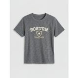 Lc Waıkıkı Antrasit Boston Baskılı Erkek Çocuk Tişört