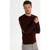 LC Waikiki Erkek Kazak - S - Bordo