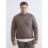 Lc Waikiki Erkek Yarım Balıkçı Yaka Kahverengi Triko Kazak Büyük Beden Günlük Stil - 3XL - 4XL