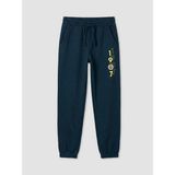 LC Waikiki Fenerbahçe Baskılı Erkek Çocuk Jogger Eşofman Altı (S6) - Navy - 9 - 10 Yaş