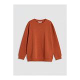 LC Waikiki Kahverengi Bisiklet Yaka Erkek Çocuk Kalın Sweatshirt