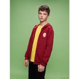 LC Waikiki LCW Kids Kırmızı Kapüşonlu Galatasaray Baskılı Erkek Çocuk Sweatshirt