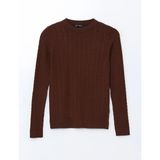 LC Waikiki Lcw Modest Kahverengi Bisiklet Yaka Kendinden Desenli Kadın Triko Kazak T T
