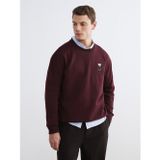LC Waikiki LCW Vision Bordo Bisiklet Yaka Ayı Teddy Baskılı Erkek Kalın Sweatshirt