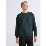 LC Waikiki LCW Vision Yeşil Bisiklet Yaka Erkek Kalın Sweatshirt