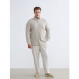 LC Waikiki LCWAIKIKI Classic Bej Büyük Beden Erkek Chino Pantolon
