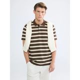 LC Waikiki Lcwaıkıkı Classic Kahverengi Polo Yaka Çizgili Erkek Tişört - XL
